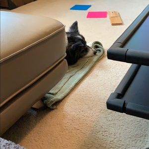 Meet your Posher, Audrey